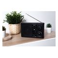 noveen pr450 radiofono forito mayro extra photo 4