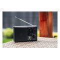 noveen pr450 radiofono forito mayro extra photo 7