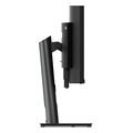 othoni lenovo thinkvision p49w 30 49 led dual qhd ips curvedrj45 hdmi usb c thunderbolt dport extra photo 3