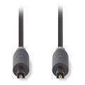 nedis cabw25000at30 optical audio cable toslink male toslink male 30 m anthracite extra photo 1