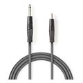 nedis coth23205gy30 stereo audio cable 635 mm male 35 mm male 30m grey extra photo 2