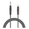 nedis coth23205gy30 stereo audio cable 635 mm male 35 mm male 30m grey extra photo 2 nedis coth23205gy30 stereo audio cable 635 mm male 35 mm male 30m grey extra photo 2