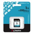 kingston sdg4 1tb canvas go plus gen4 1tb sdxc u30 v30 a2 extra photo 1