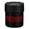 thermal grizzly putty advanced 30g extra photo 4