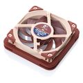 antikradasmiko plaisio noctua nv mpg1 12 brown extra photo 1