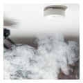 shelly plus smoke extra photo 4