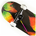 skateboard 31 fall fish northeast maple extra photo 3