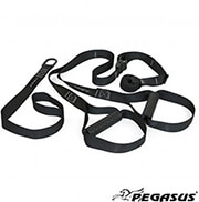 pegasus imantes endynamosis suspension trainer photo