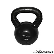 kettlebell binylioy pegasus 20 kg photo