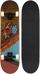 skateboard masquerade brigade rgb nijdam 52nt rgb photo