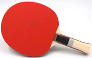 raketa ping pong sunflex plus a13 photo