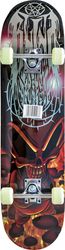 troxosanida skateboard amila skatebird skull photo