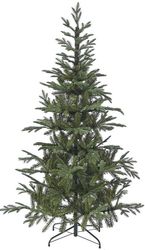 dendro real fir 180ek photo