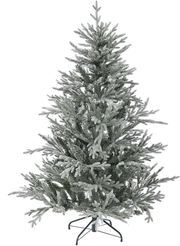 dendro snowy norway spruce 180ek photo