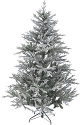 dendro snowy norway spruce 210ek photo