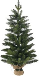 dentraki me plastika kladia 90ek se tsoybali me 221 tips photo