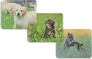 mouse pad hama animal 12 tem se display photo