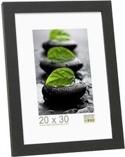 deknudt s44cf2 20x30 wood black photo