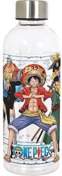 stor one piece hydro bottle 850ml 570 photo
