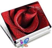 lamtech 92 124 laptop skin red rose lamskin0019 photo