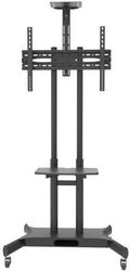 tv stand focus mount fixed t633 photo