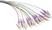 logilink fiber pigtail set 12 x lc om4 2m colored violet connector photo