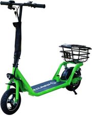 manta electric scooter flinston 10 250w lg battery mes1001h photo