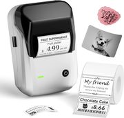 niimbot thermal label printer b1 2 inch silver b1 s photo