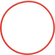 olympus pol 058 o ring for pt 058 pt 059 photo