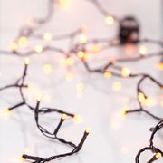 eurolamp 240 led 3mm 31v metasx sti 8 progr mnimi mayro pvc kal portokali led proekt 3m ir44 photo eurolamp 240 led 3mm 31v metasx sti 8 progr mnimi mayro pvc kal portokali led proekt 3m ir44 photo