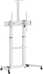sbox mobile floor stand 60 100 152 254 cm vesa 1000x600 white fs 3610 w photo
