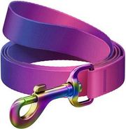 nylon dog leash waudog gradient w 15 mm lgth 122cm purple photo