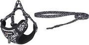 dog set dogness harness and leash black and white photo