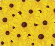 speedlink sl 6230 n04 pangea nature motif mousepads sunflowers photo