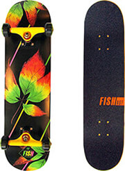 skateboard 31 fall fish northeast maple photo