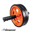 pegasus roda koiliakon 18cm photo pegasus roda koiliakon 18cm photo