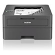ektypotis brother hl l2445dw b w laser duplex wifi photo