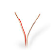 nedis cagw1500tr1000 speaker cable 2x 150 mm2 100 m wrap transparent photo