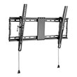 gembird tv wall mount tilt 37 80  photo