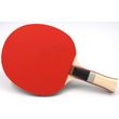 raketa ping pong sunflex plus a13 photo