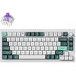 pliktrologio keychron q1 he q1h p1 qmk white wireless custom hall effect purple switch 75 us photo
