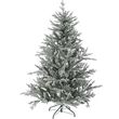 dendro snowy norway spruce 180ek photo
