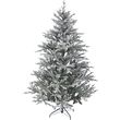 dendro snowy norway spruce 210ek photo