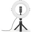led daktylios fotismoy hama 04657 photo
