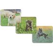 mouse pad hama animal 12 tem se display photo