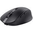 trust ozaa compact wireless mouse photo