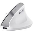 trust bayo ii ergonomic wireless mouse white photo