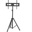 tv stand focus mount fixed t364 photo
