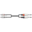 2r 2m6j150 kalodia ixoy 2 x 63mm mono jack 2 x rca 15m temaxio photo