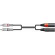 2r 2xm300 kalodio ixoy 2 x rca plugs 2 x xlr male 3m temaxio photo